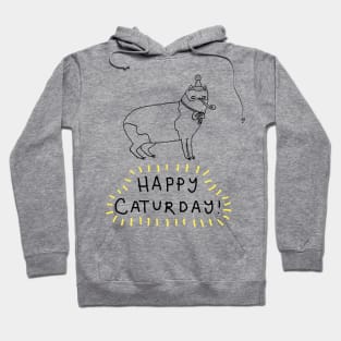 Caturday Hoodie